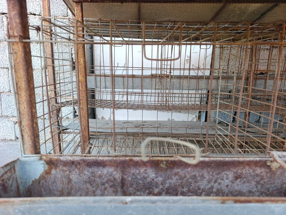 Tovuq katak 47 katak xar biriga 2 tadan tovuq sigadi tuxumi qoyadigon