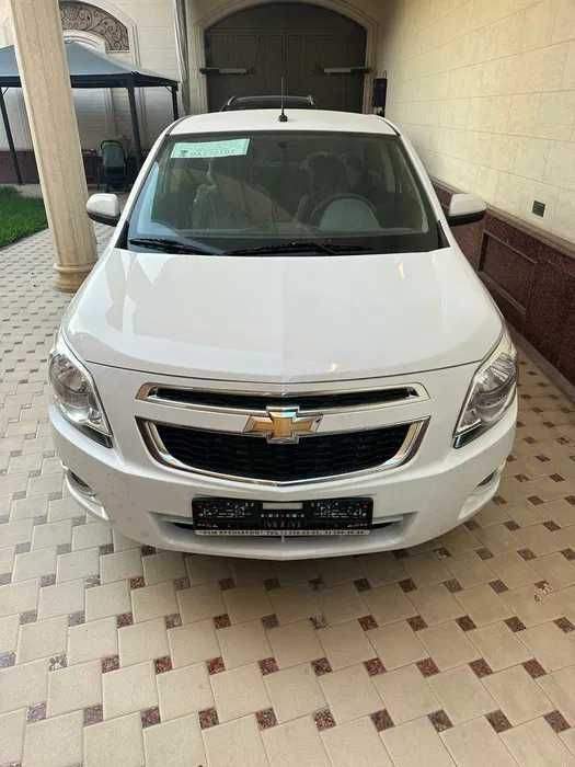 Собалт Стайл 2025