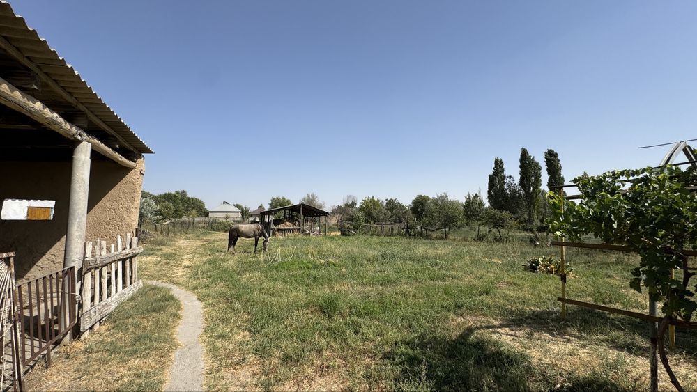 Продается дом шымкент