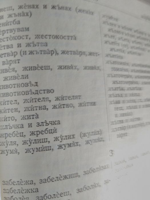 Правописни речници по български език за ученици