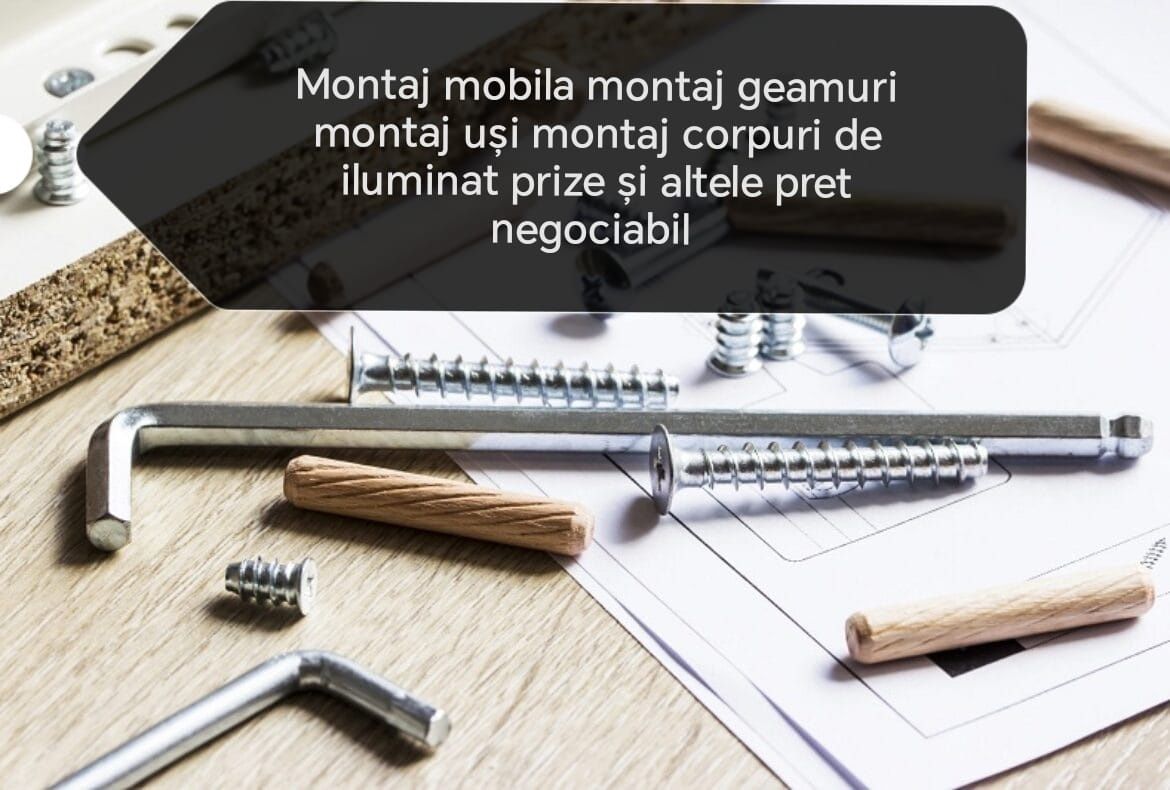 Construcții interioare exterioare,Montaj mobila