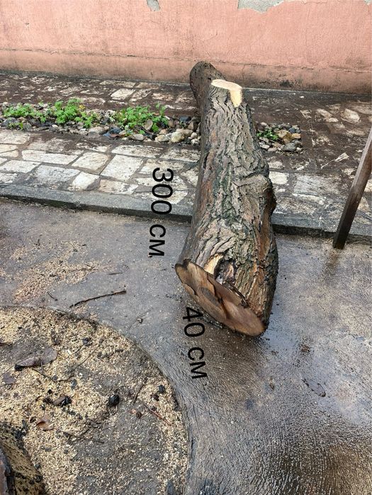 Дървен материал от ОРЕХ