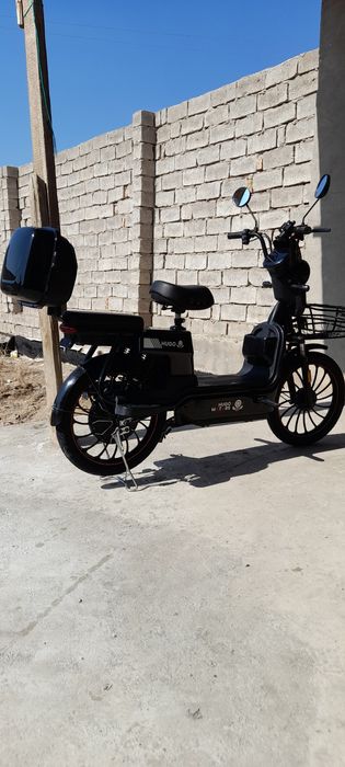 Skutr                 

Markasi hugo

Model skut