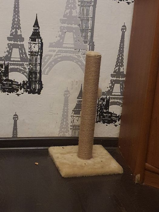 Когте точка для кошки