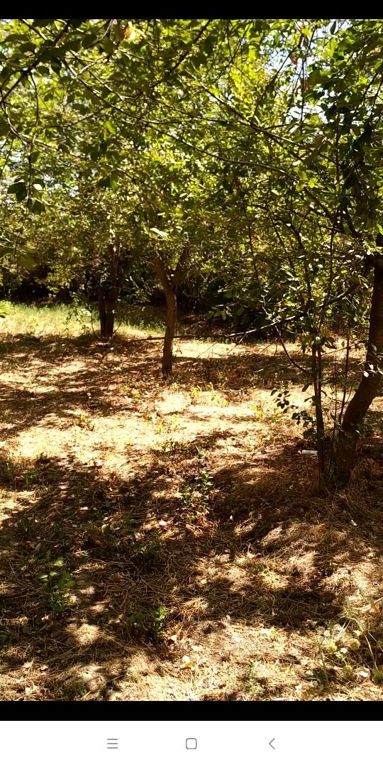 Кибрай тумани Ботаника м.ф.й да 2хона,6 сотик участка сотилади