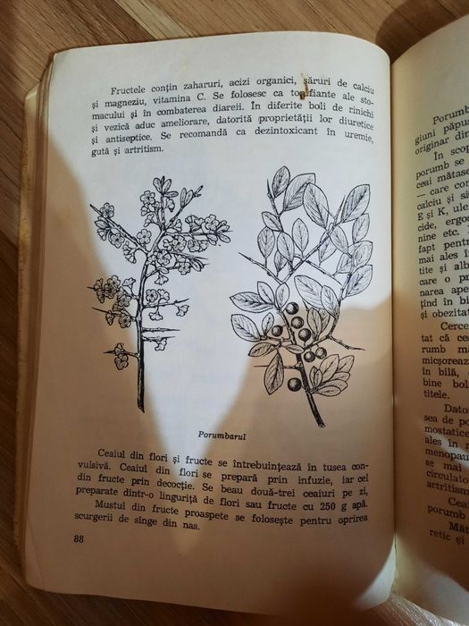 Plantele medicinale in apararea sanatatii carti vechi