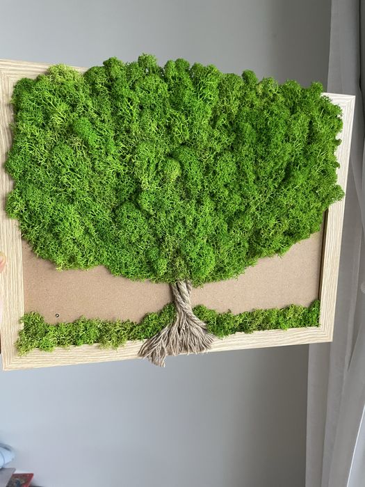 Картини и часовници със скандинавски мъх