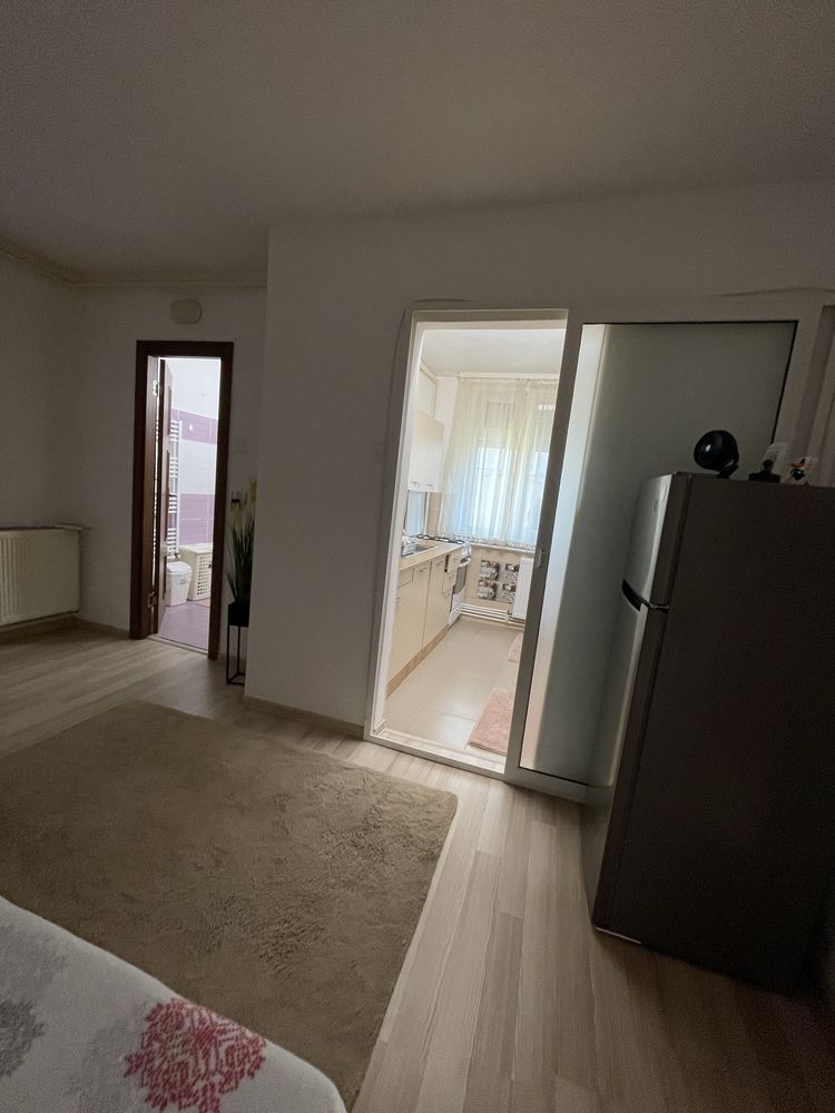 Apartament cu 1 camera zona Precista