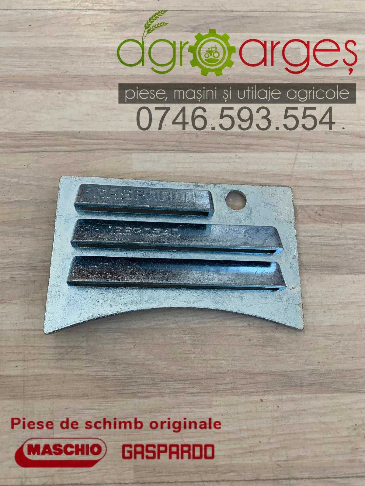 Placa poarta protectie G16620540R Gaspardo