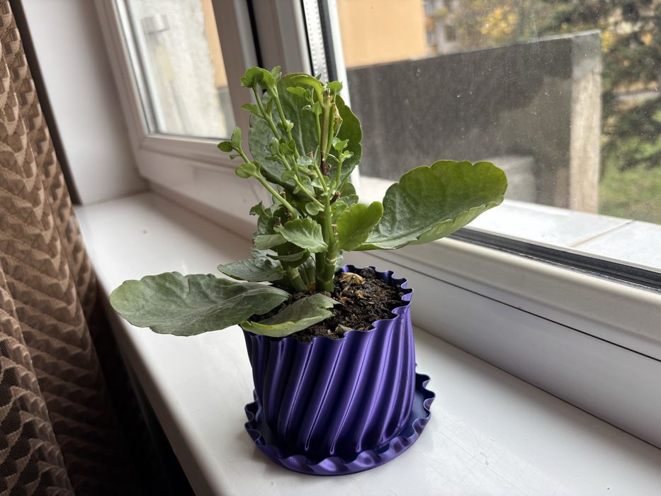 3д принтирана саксия 3-цвята