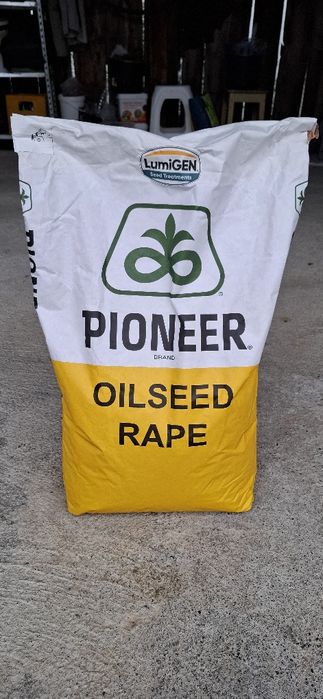 Seminte de rapita Pioneer Pt 314