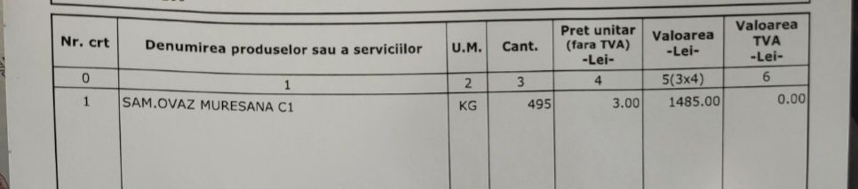 Ovăz din sămânță Mureșana C1 certificată