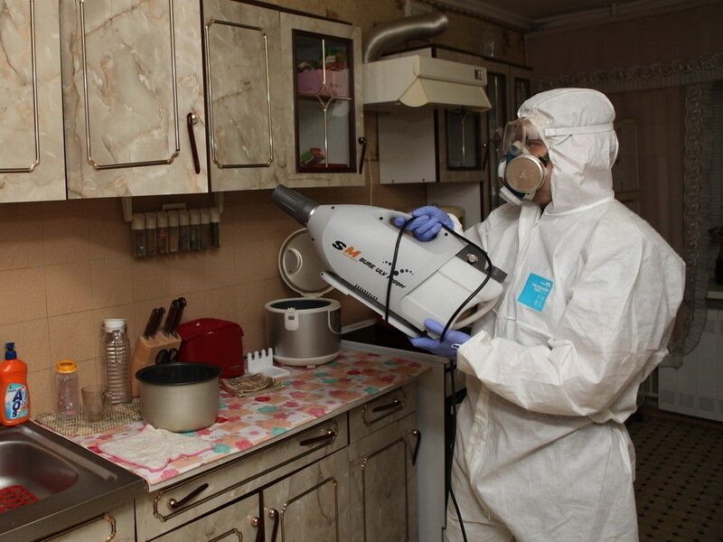 Дезинфекция с гарантией, уничтожение насекомых и грызунов. Шымкент