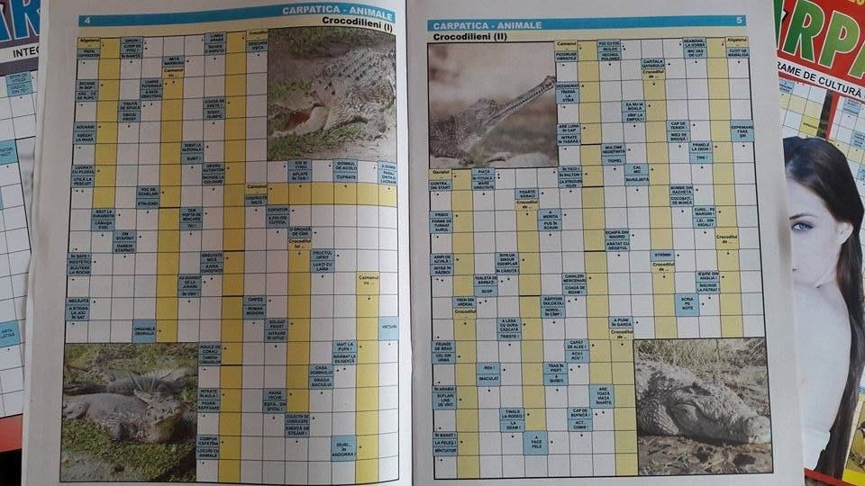 Colectia de integrame Carpatica + Integ Lumea Animalelor si Ortodoxia