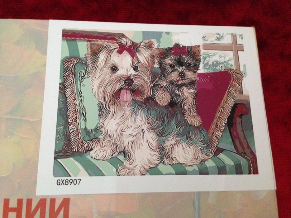 Картина по номерам Йоркширский терьер