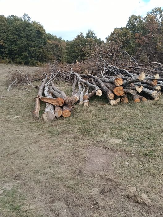 Lemne de vânzare