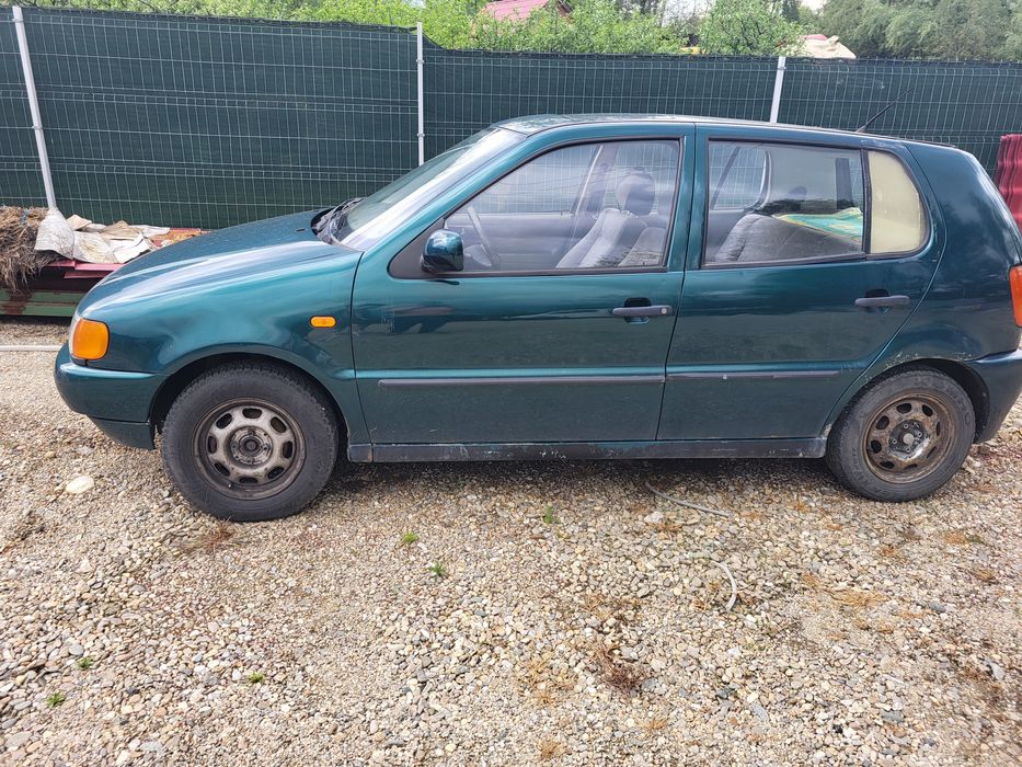 Polo 6n pentru rabla