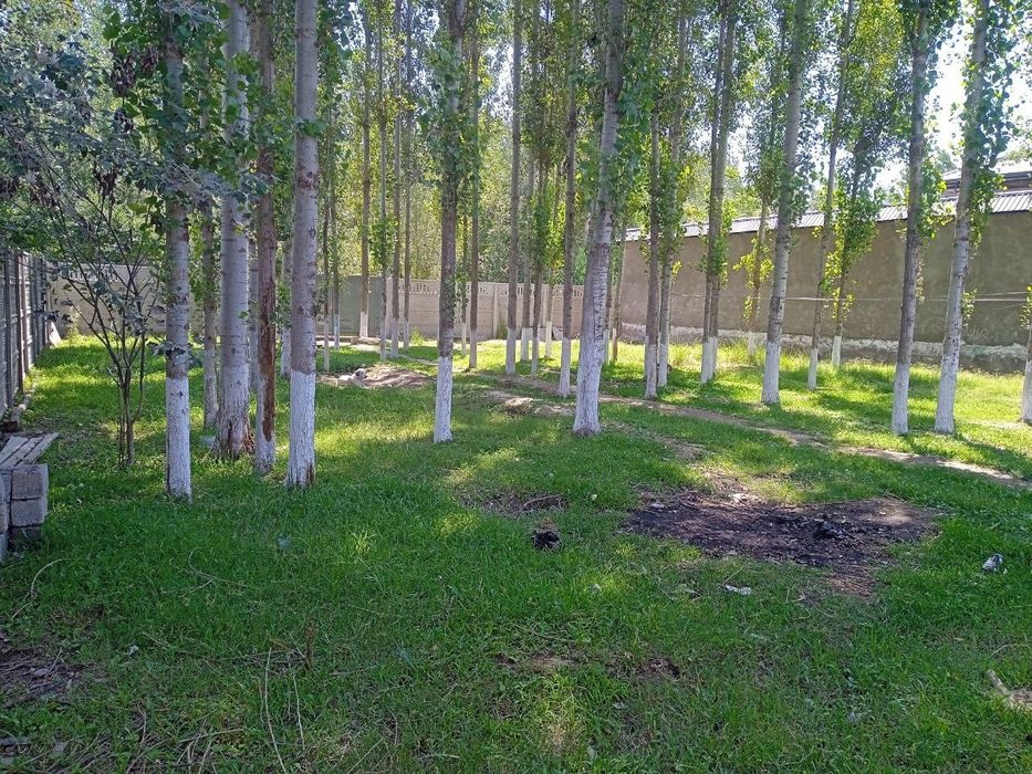 Продаю землю 5соток г.Янгиюль