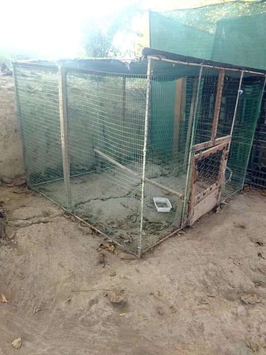Xoʻrozlar va  tovuqlar uchun katak sotiladi