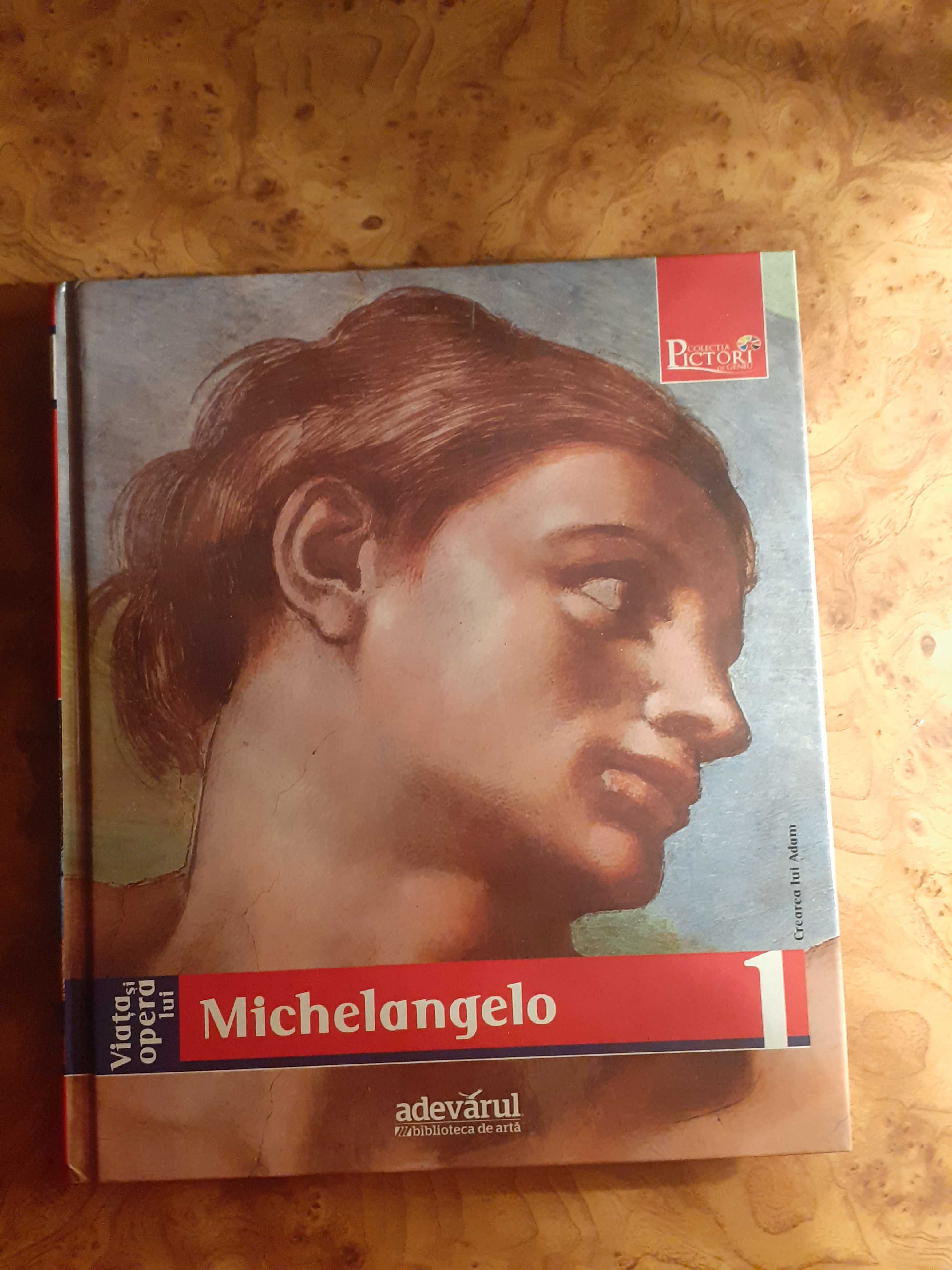 Carte Michelangelo 1