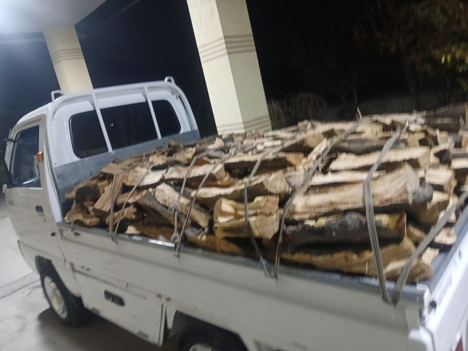 Shaftoli utin sotiladi