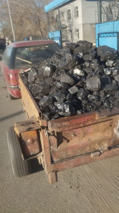 Уголь семей, чубаркуль