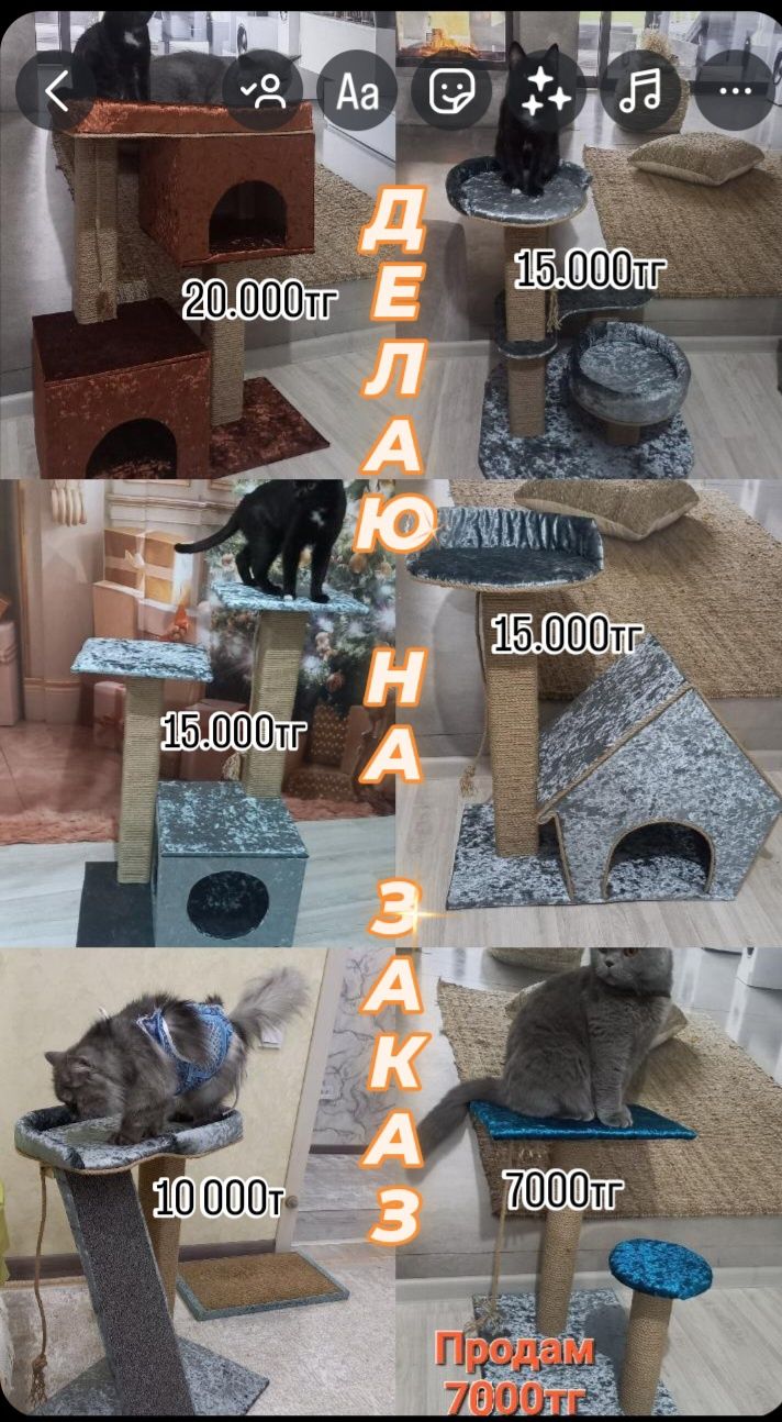 Когтеточки для кошек и собак