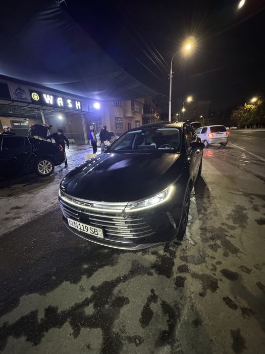 Byd Chazor gibrit 120 talik 2023