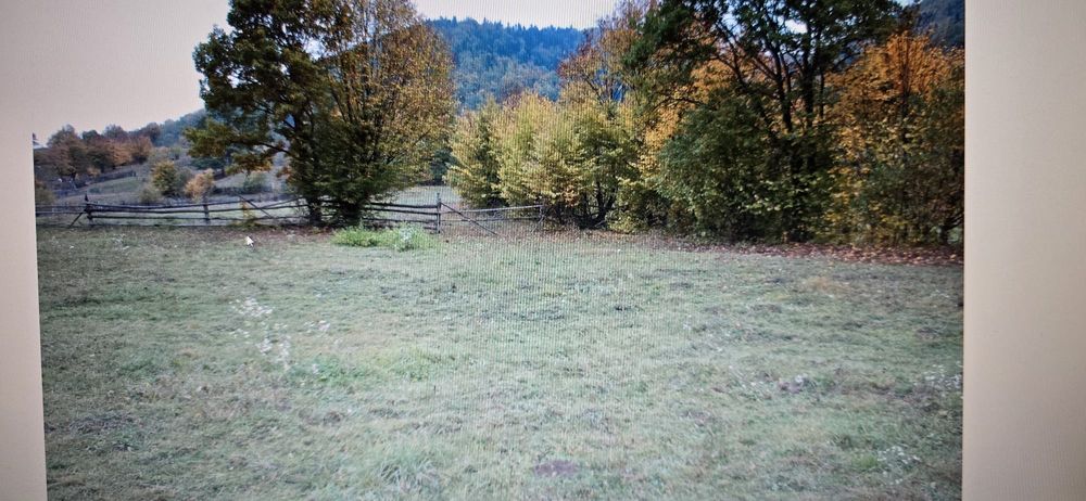 Teren in Gârcina Cuiejdi