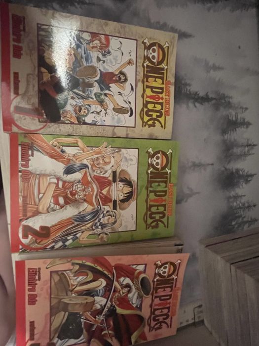 Manga one piece