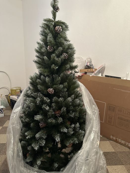 Продам елку, красивую, пышную