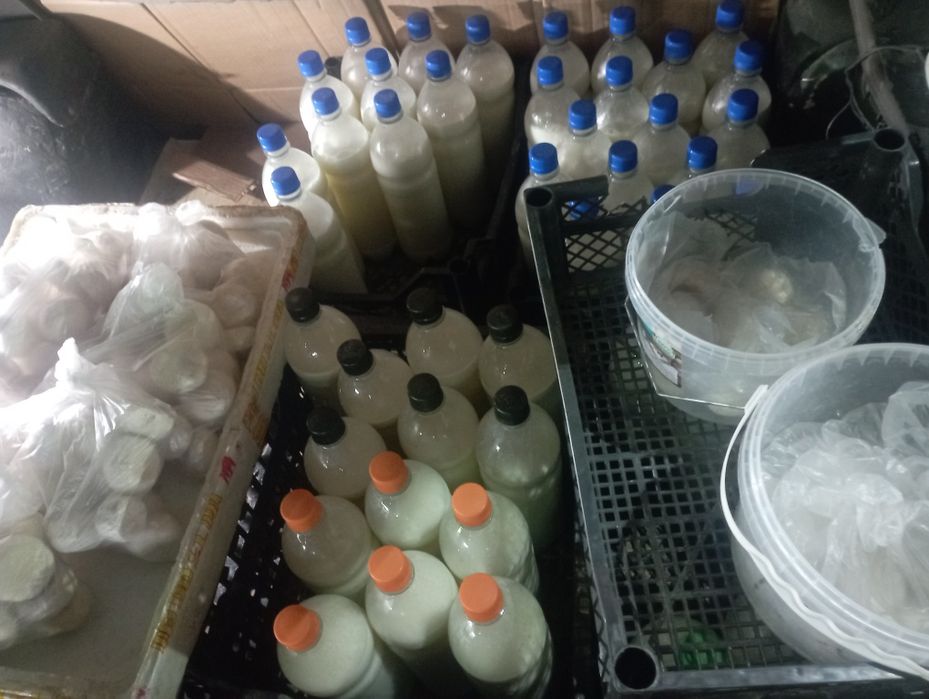 Кымыз натуральный