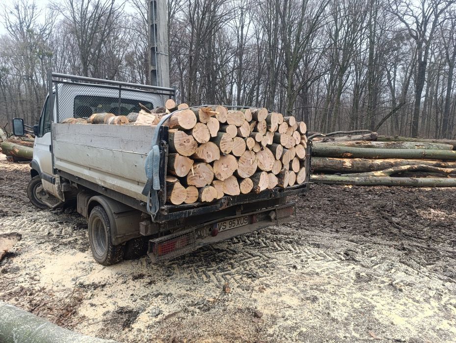 Transport lemne pentru foc