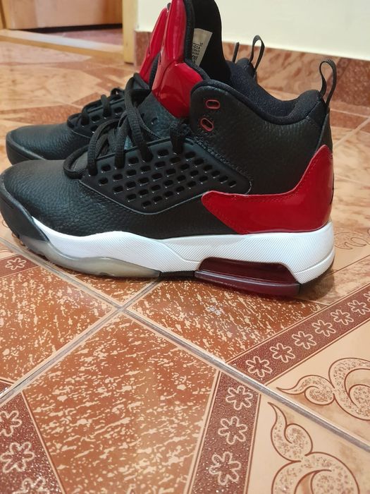 Schimb Jordan Maxim 200 pe un cățeluș de rasa