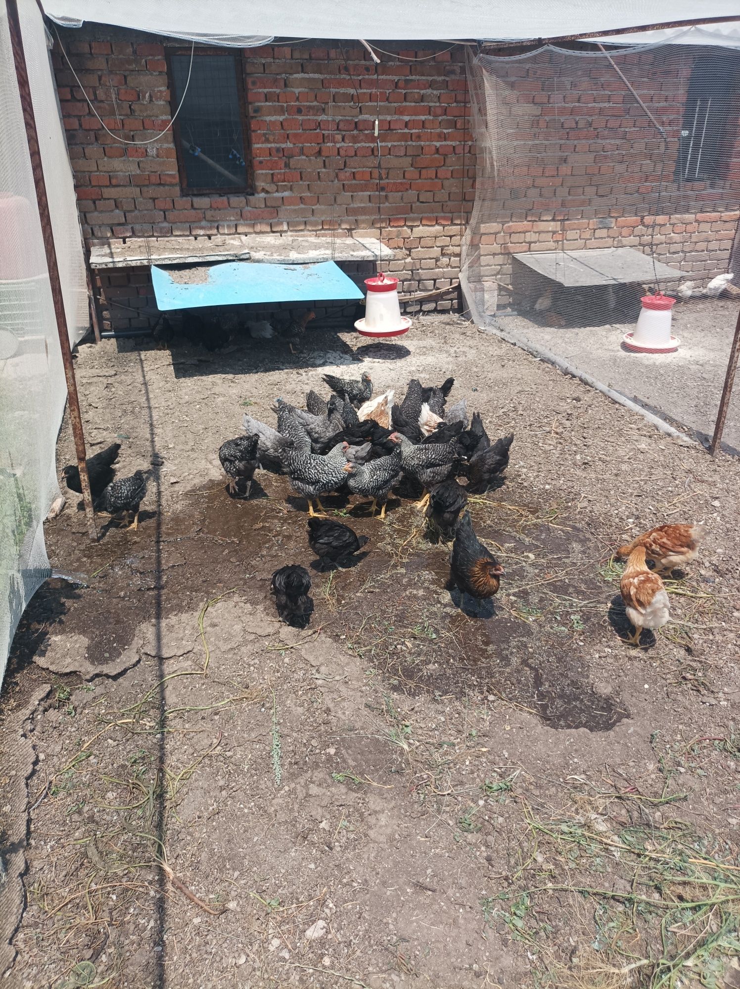 Продавам пилета.