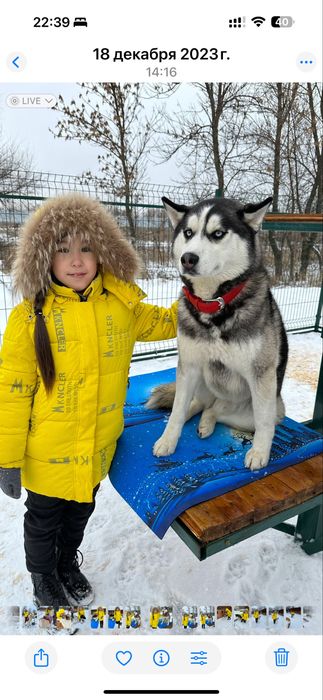 Куртка для девочек