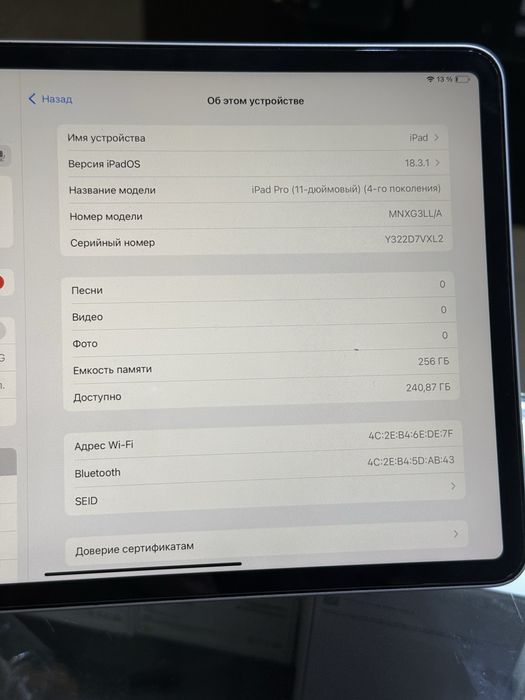 Ipad pro11  256 M2