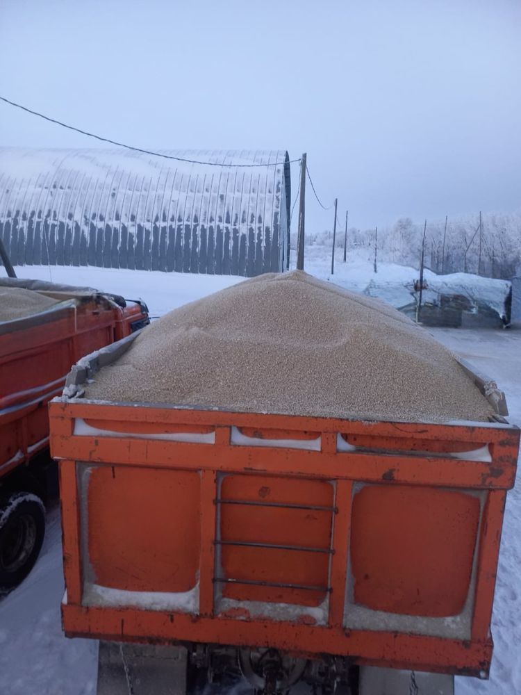 КамАЗ с прицепом / Отличное состояние / После капремонта