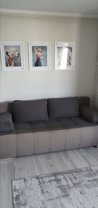 Canapea extensibila cu ladă