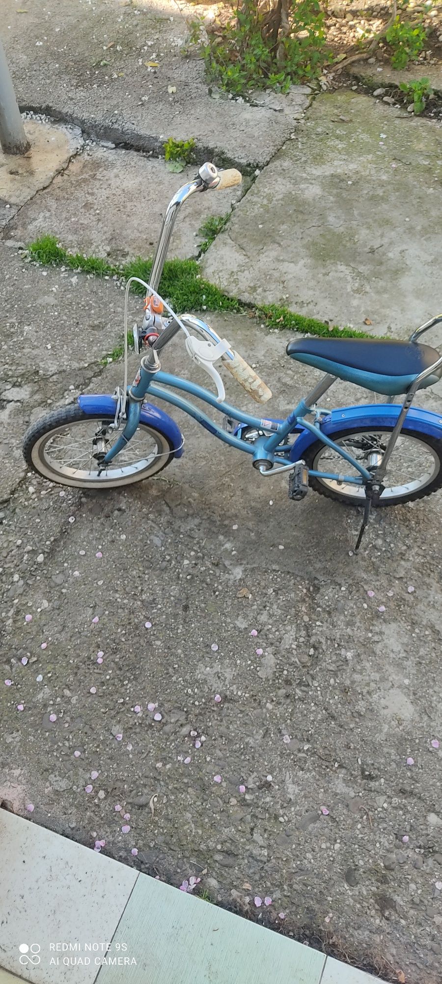 Bicicleta Pegas Mezin