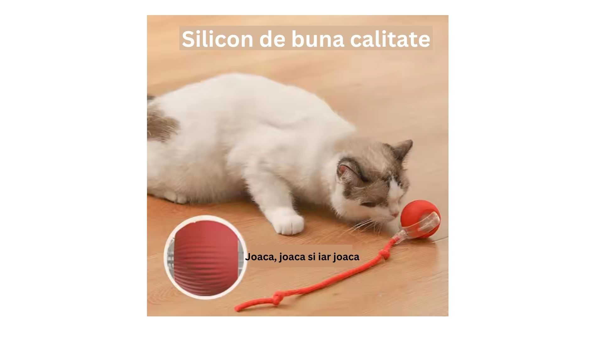 Jucarie Interactiva Pisica - minge