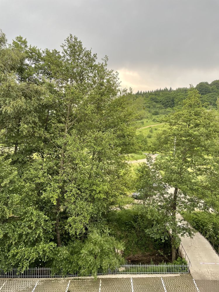 Apartament chirie / de inchiriat - Roata, Sf. Ion, priveliste padure