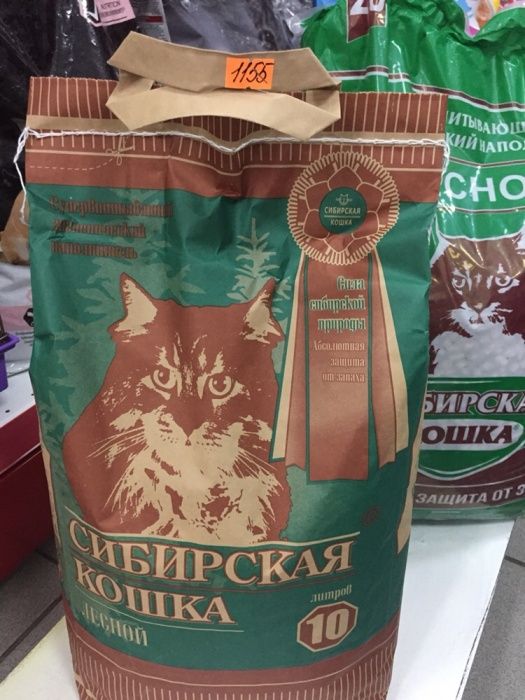 Сибирская кошка3л