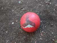 Sportiv de tip fotbal