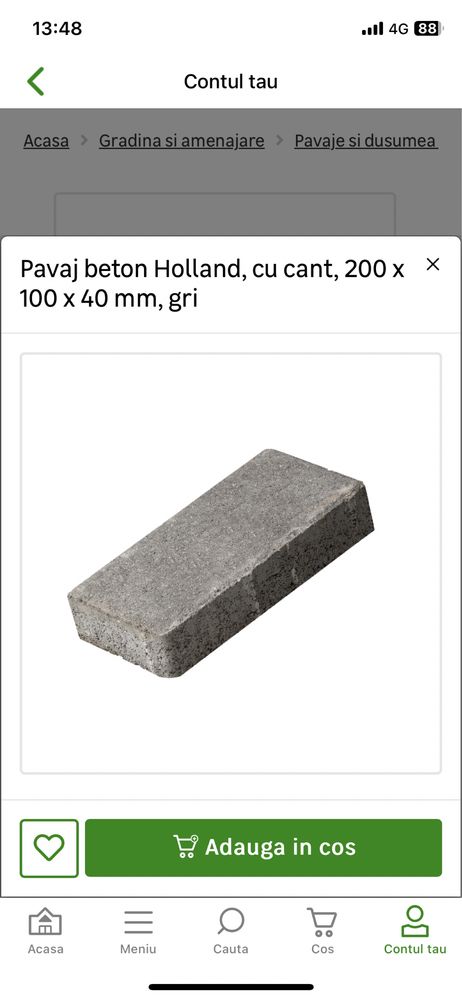 Pavaj beton gri 200x100x40 mm