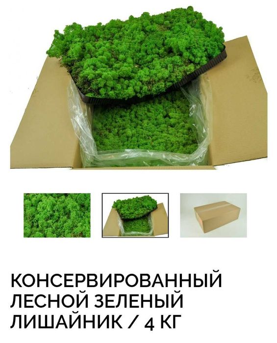 Стабилизированный Мох Оптом