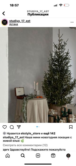 Новогодние елки живые