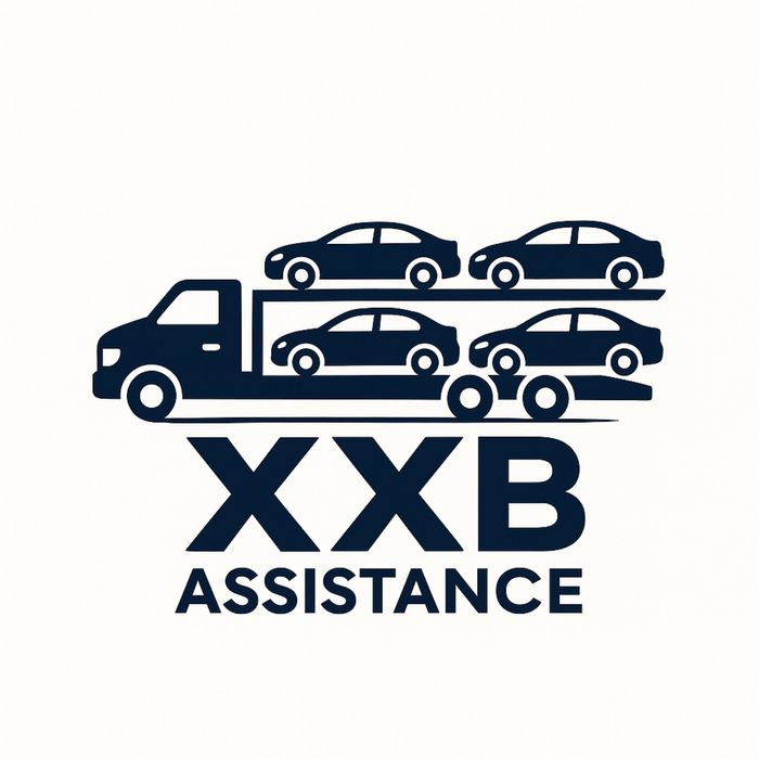 Transport auto pe platforma