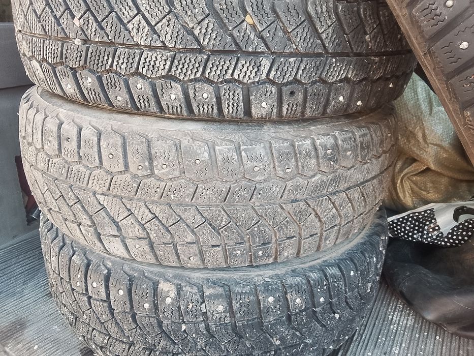 Шины зимных цыпы