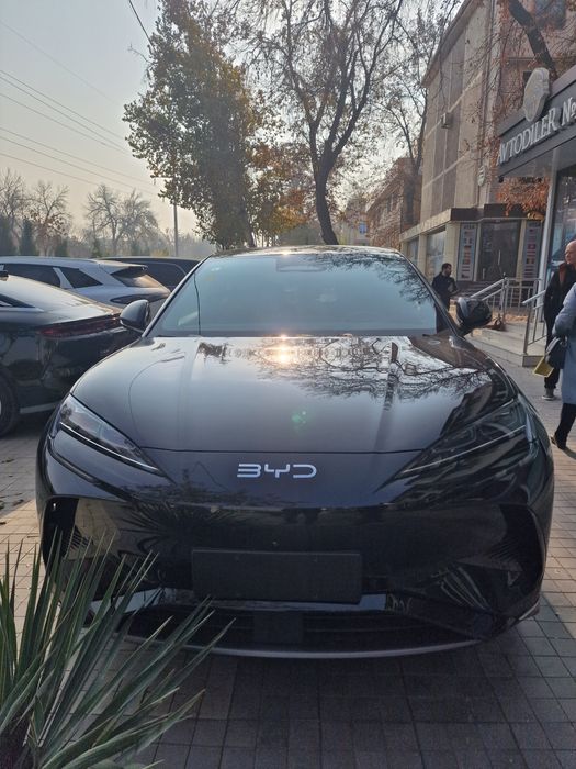 Byd sealiom 07  2025